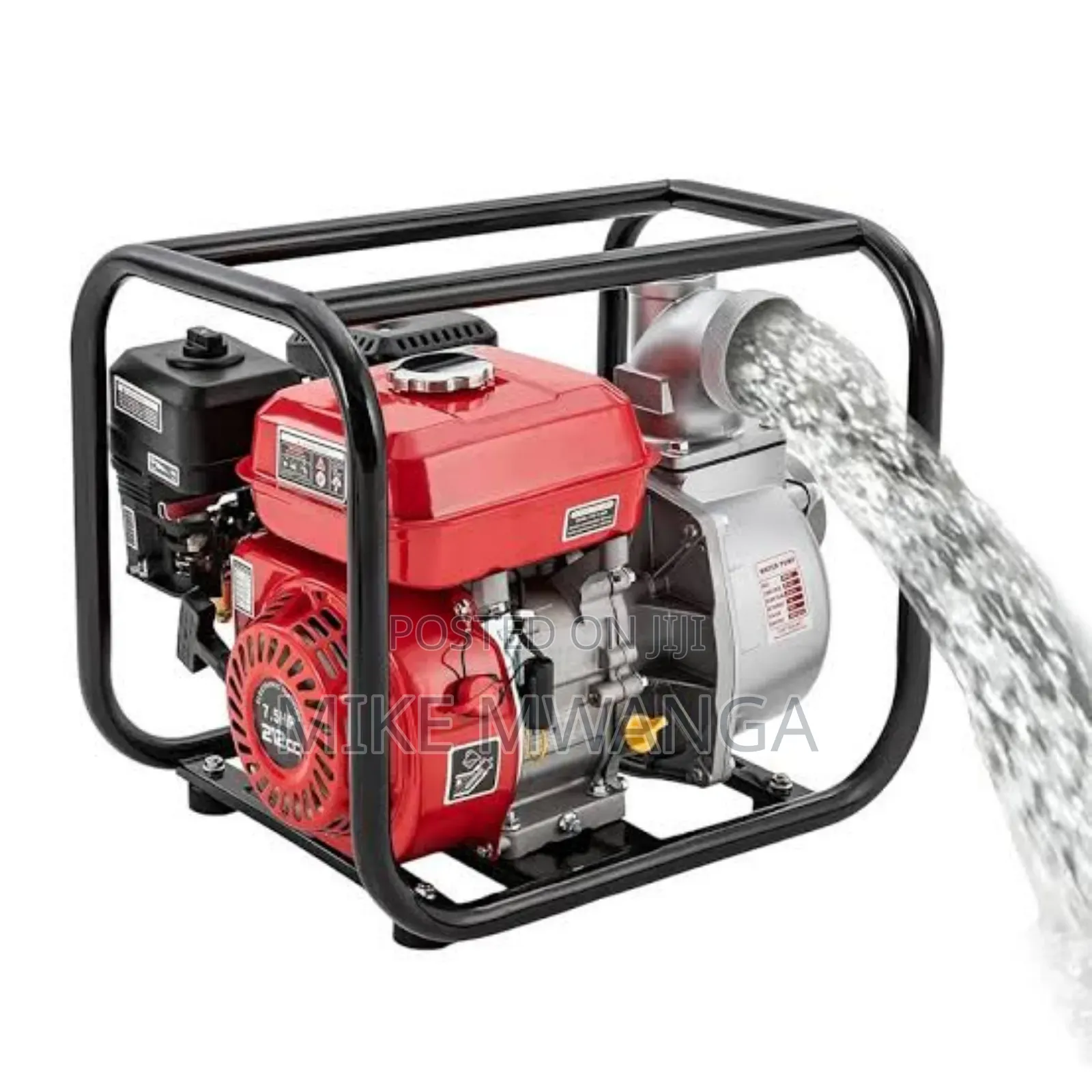 Windsor Gasoline Water Pump