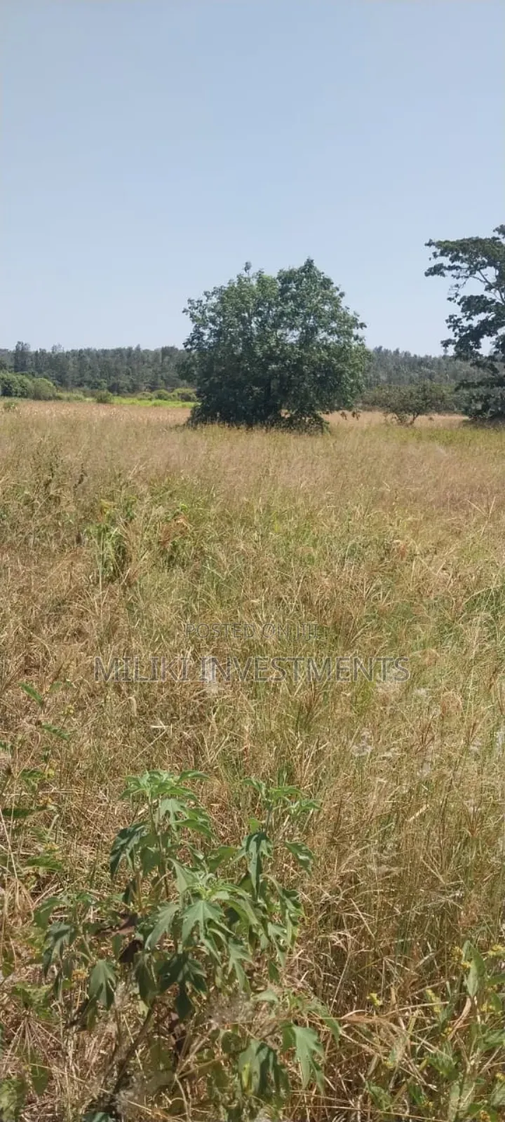 5.5 Acres on Sale at Kambirwa