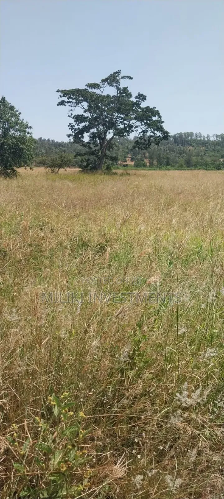 5.5 Acres on Sale at Kambirwa