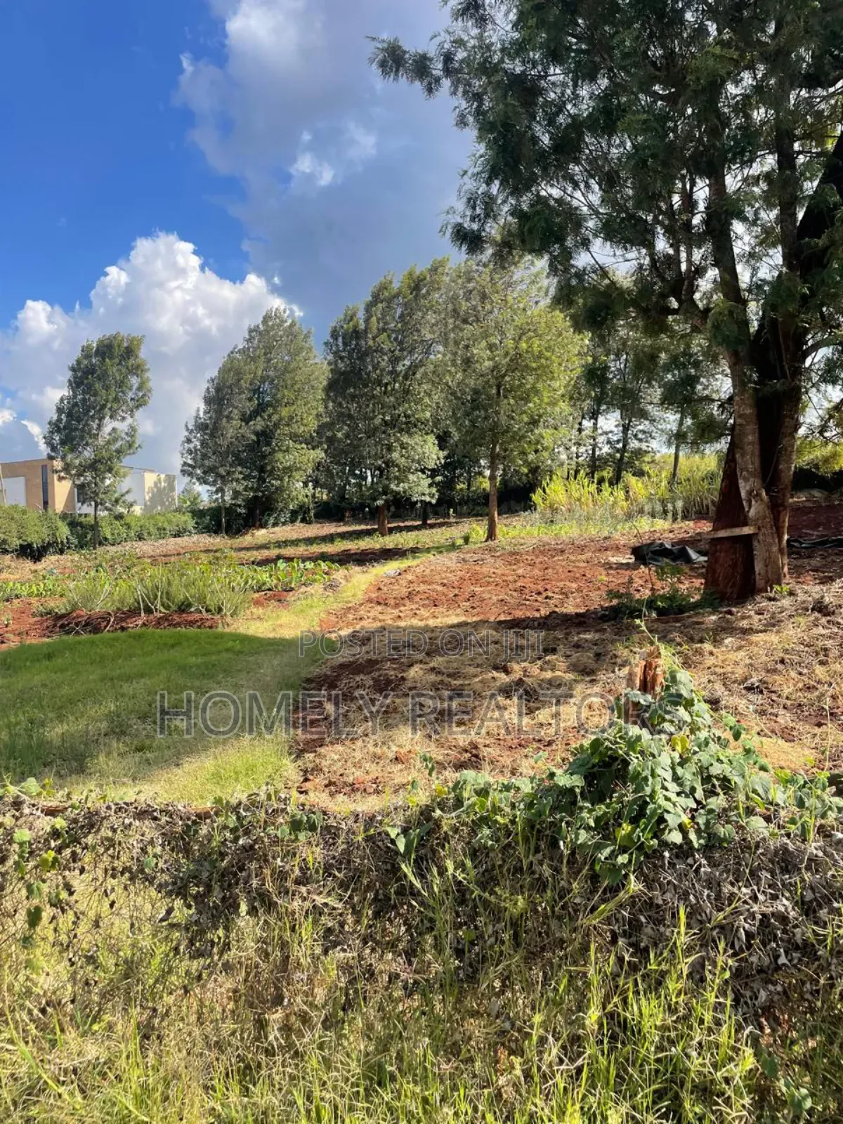 Quarter Acre Plot for Sale in Kerarapon Drive. Red Soil. Nice Views