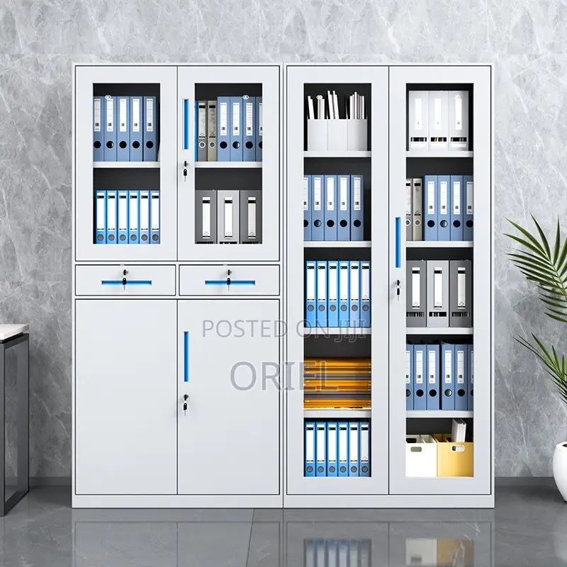 Office Cabinets; Space-Efficient 2-Door Metallic Office Cabinet