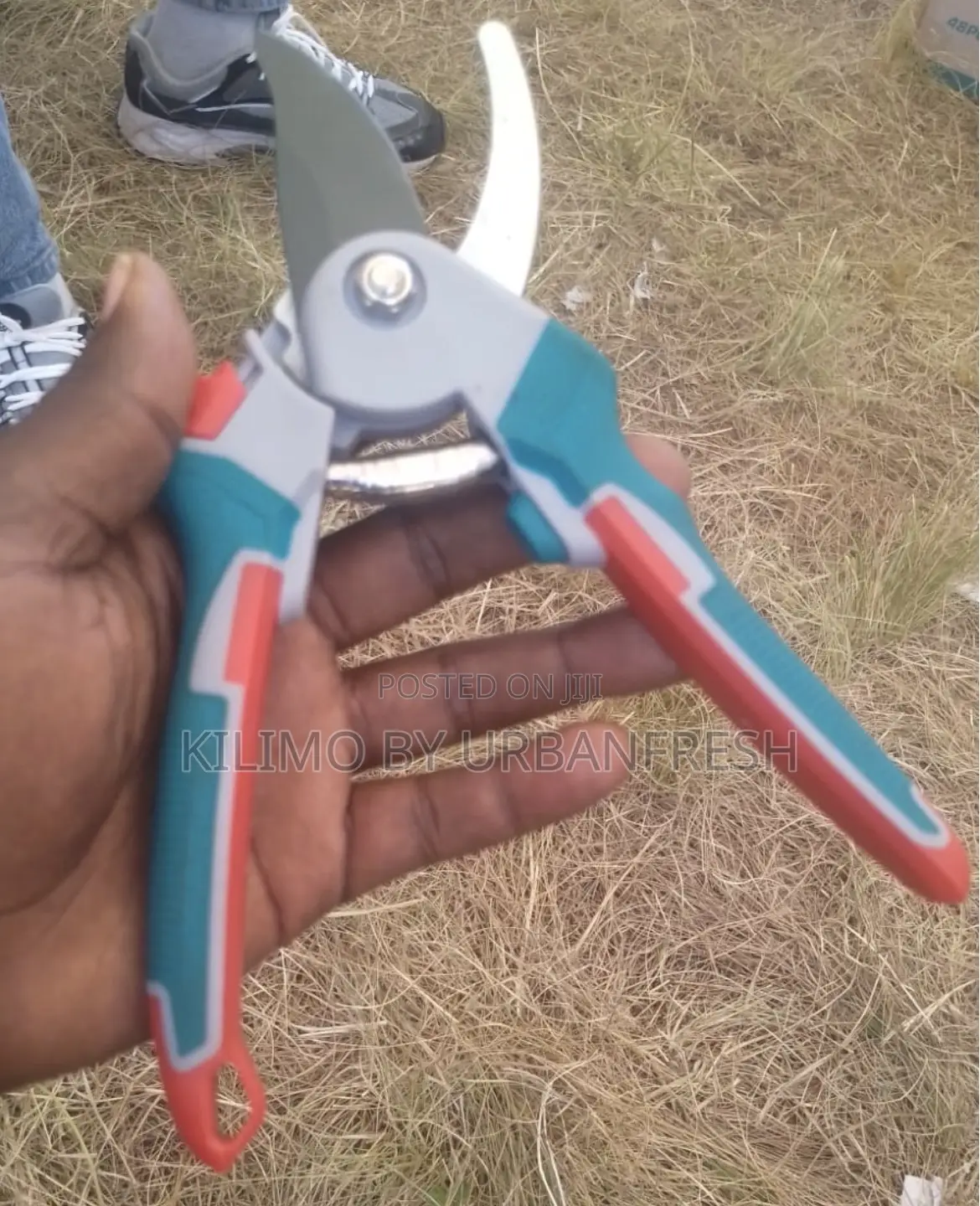 Pruning Shear For Branches.
