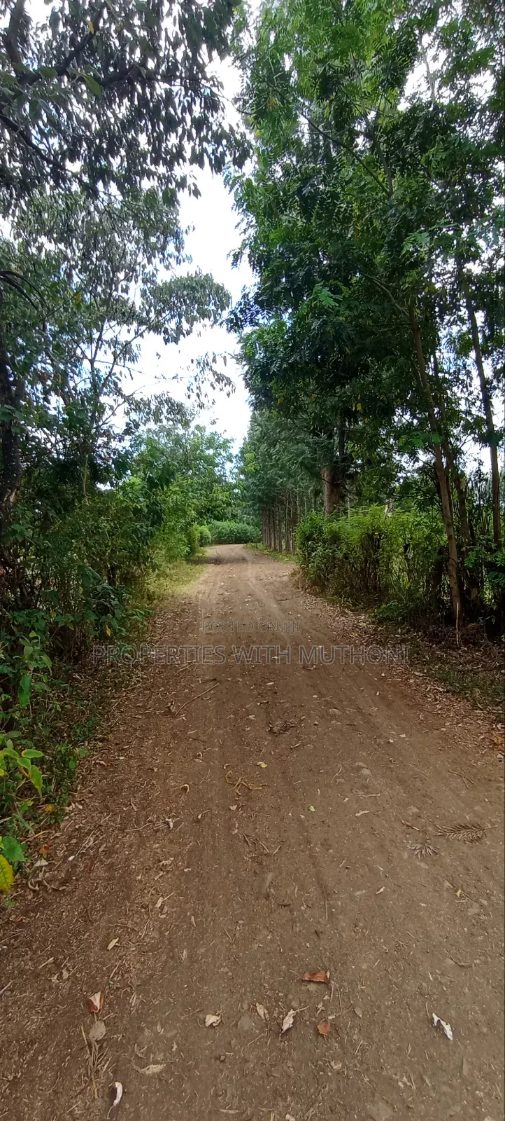 3/4 Acre for Sale in Sagana.