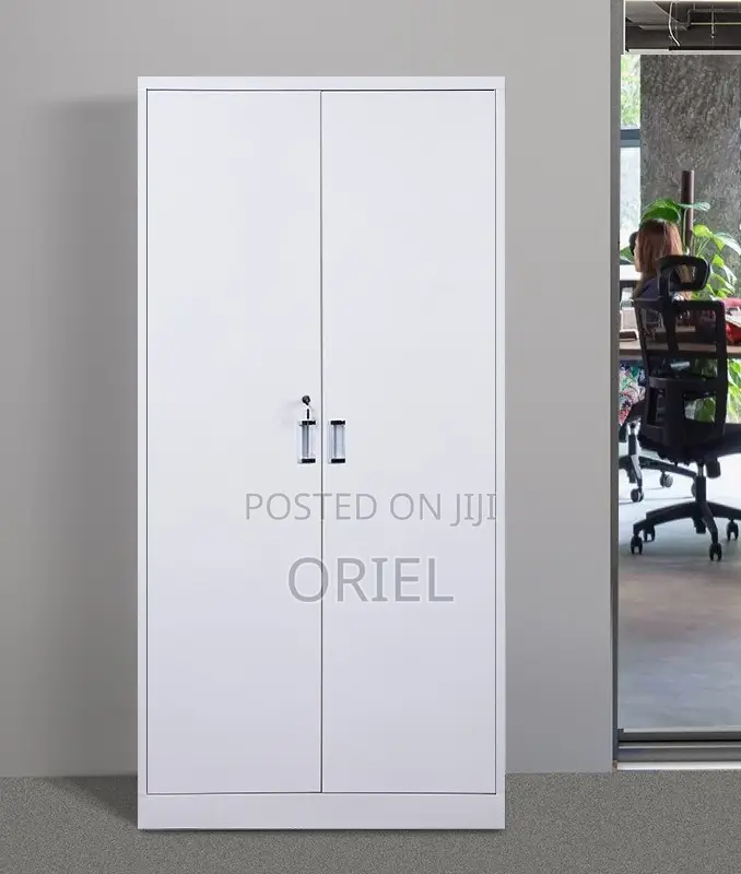 Office Cabinet : 2-Door Modern Steel Office Cabinet