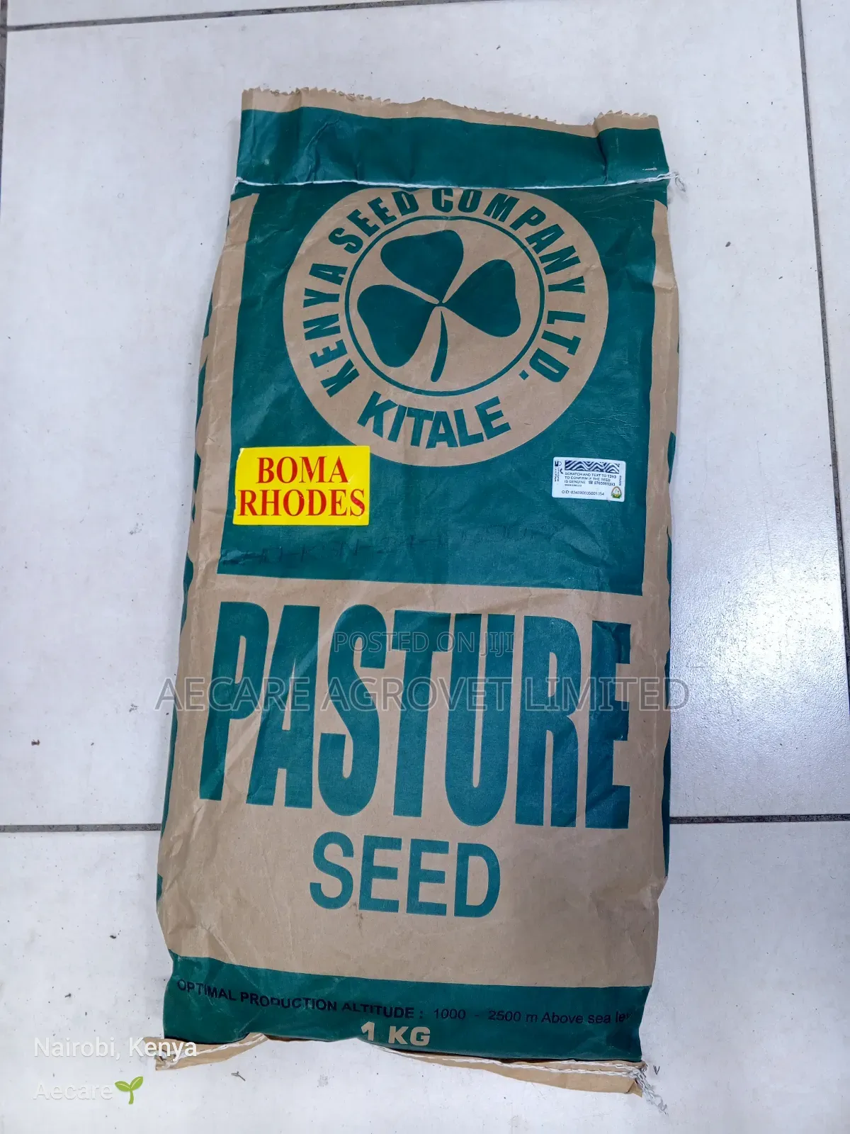 Boma Rhodes Seeds Pasture Grass 1kg