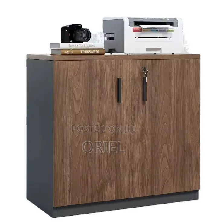 Office Cabinet; Minimalist Two-Door Wooden Storage Cabinet