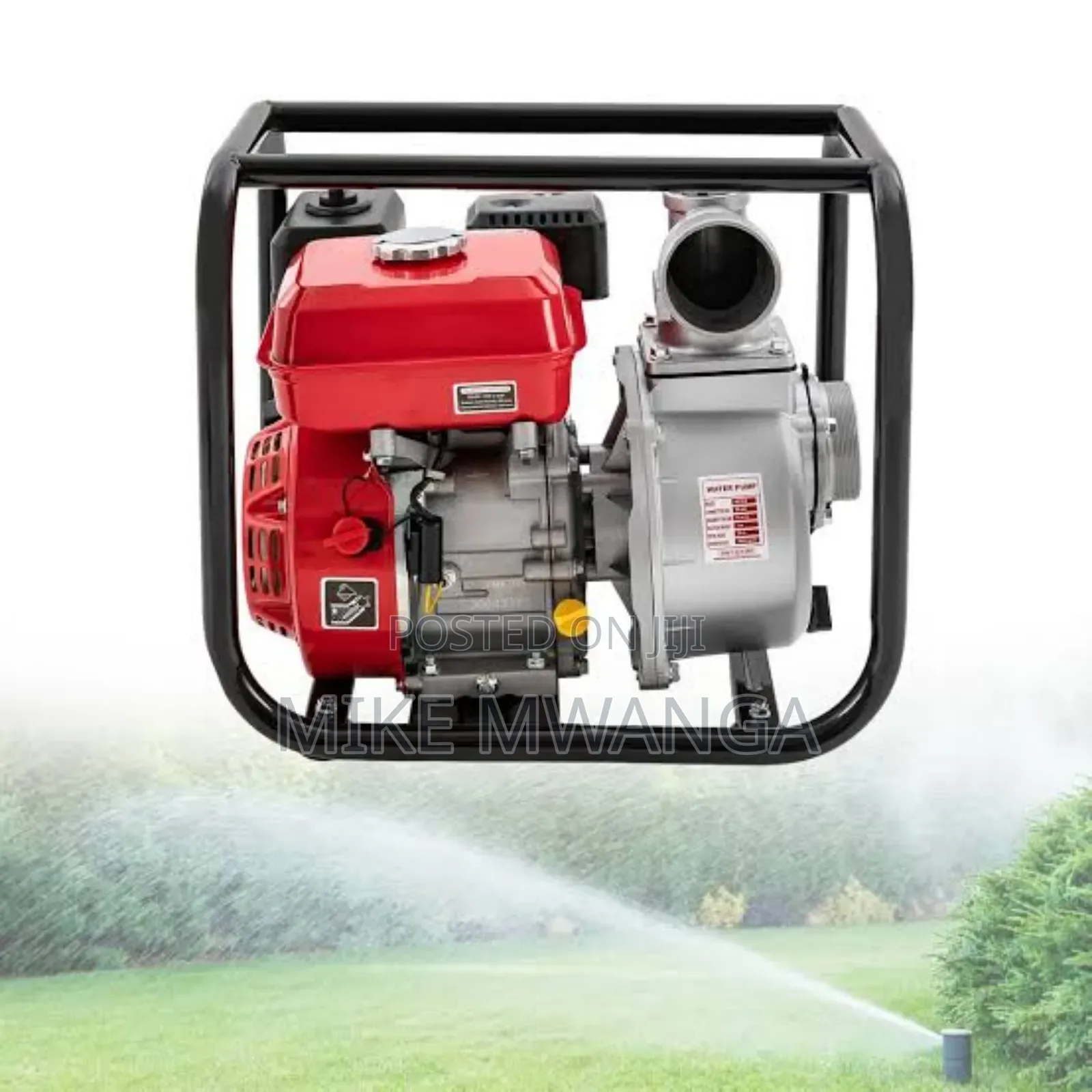 Windsor Gasoline Water Pump