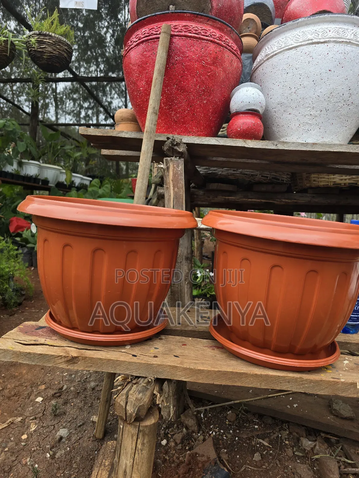 Plastic Flowerpots With a Plate