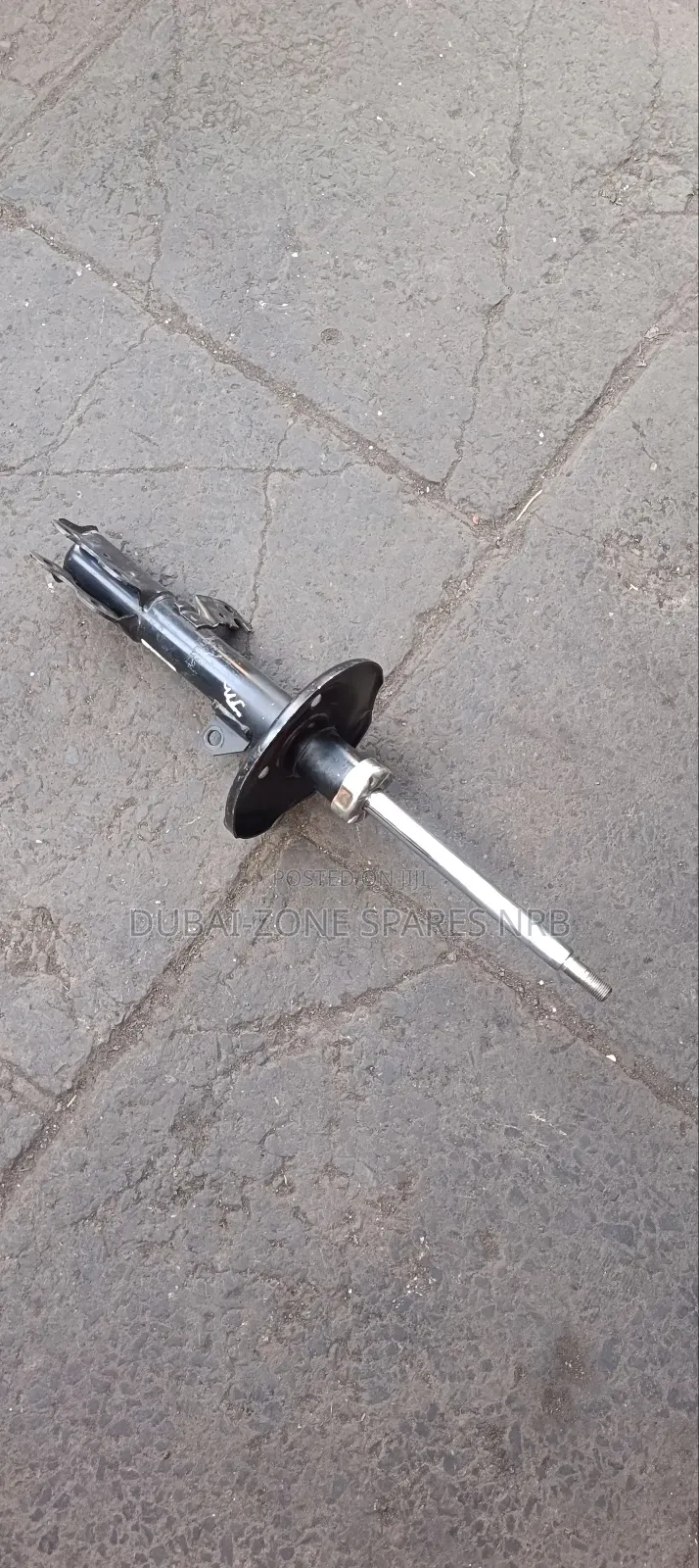 Shocks Wish,Allion,Premio 260.