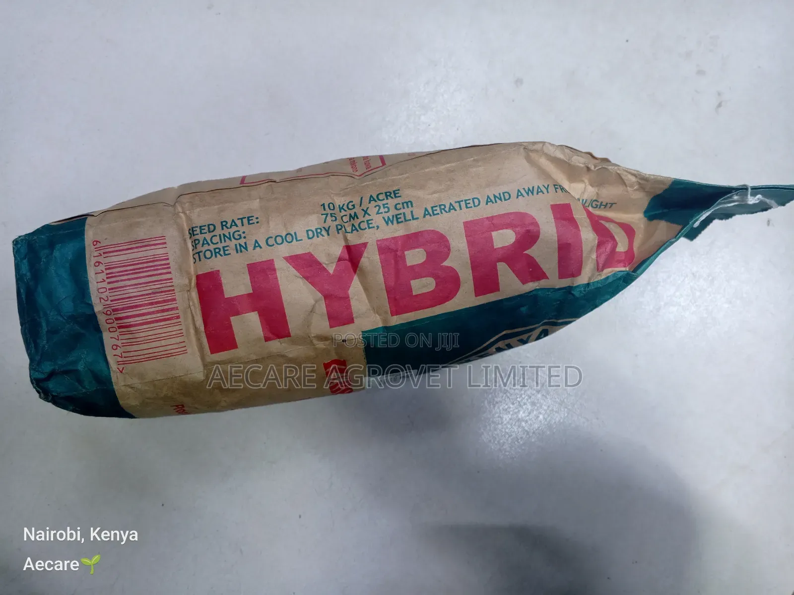 Dh02 Hybrid Maize Seeds 2kgs