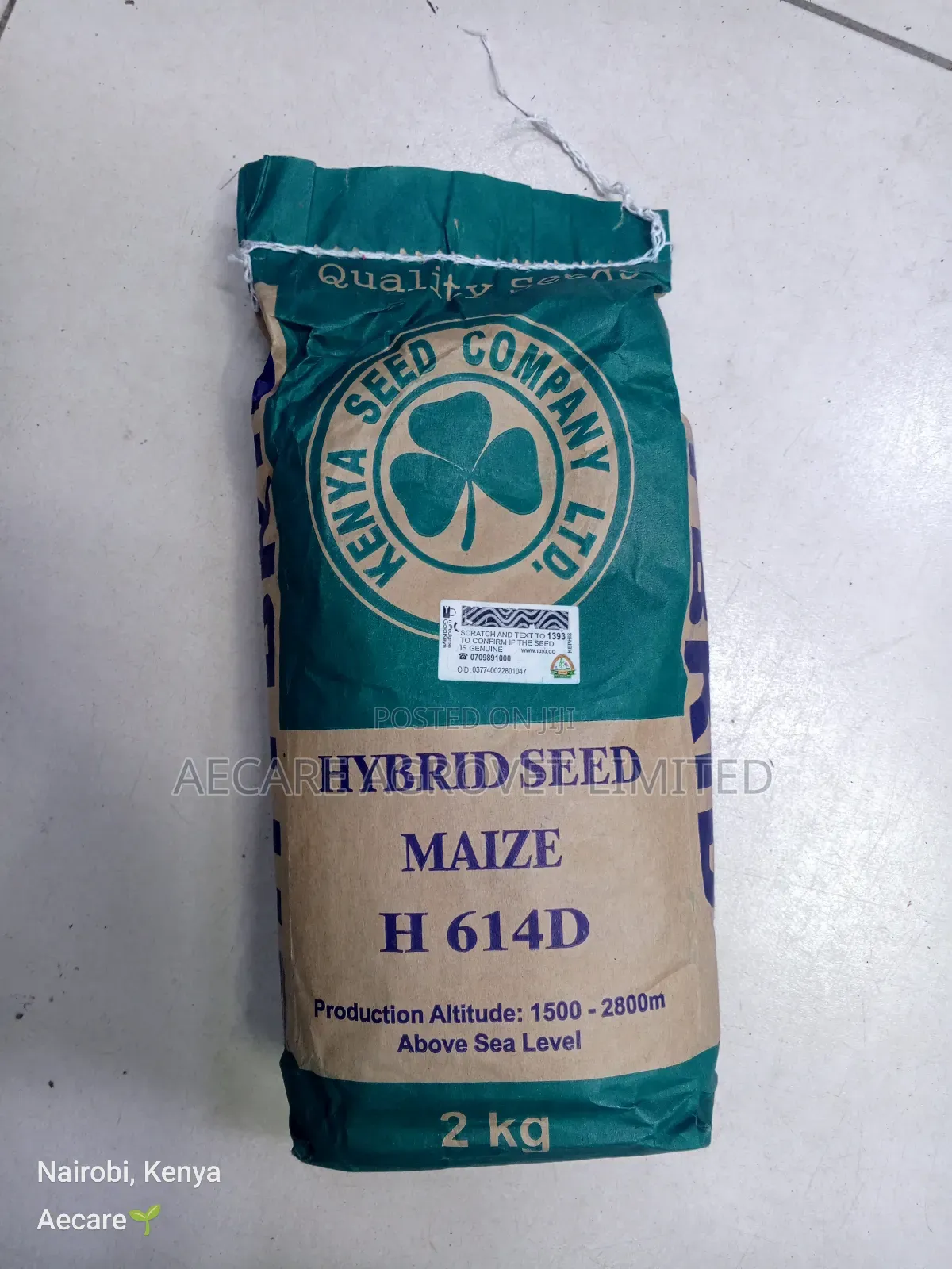 Hybrid H614d Maize Seeds 2kgs