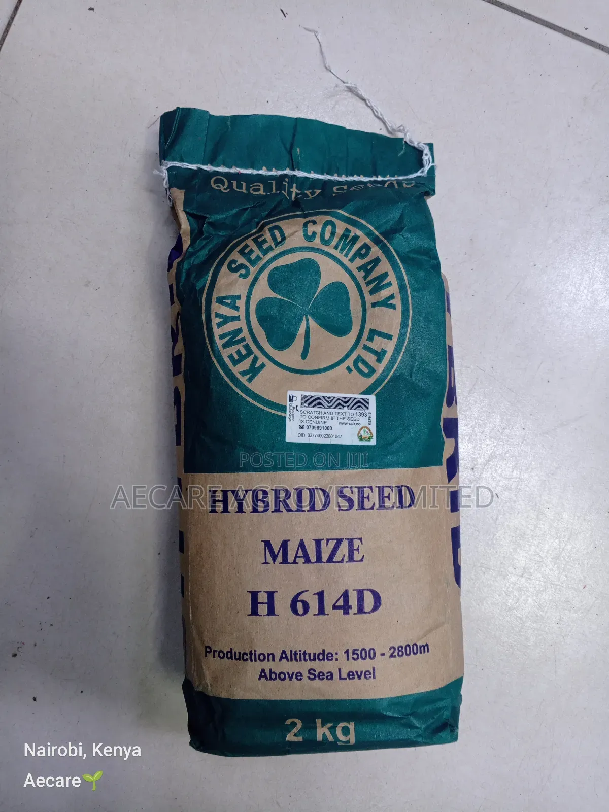 Hybrid H614d Maize Seeds 2kgs
