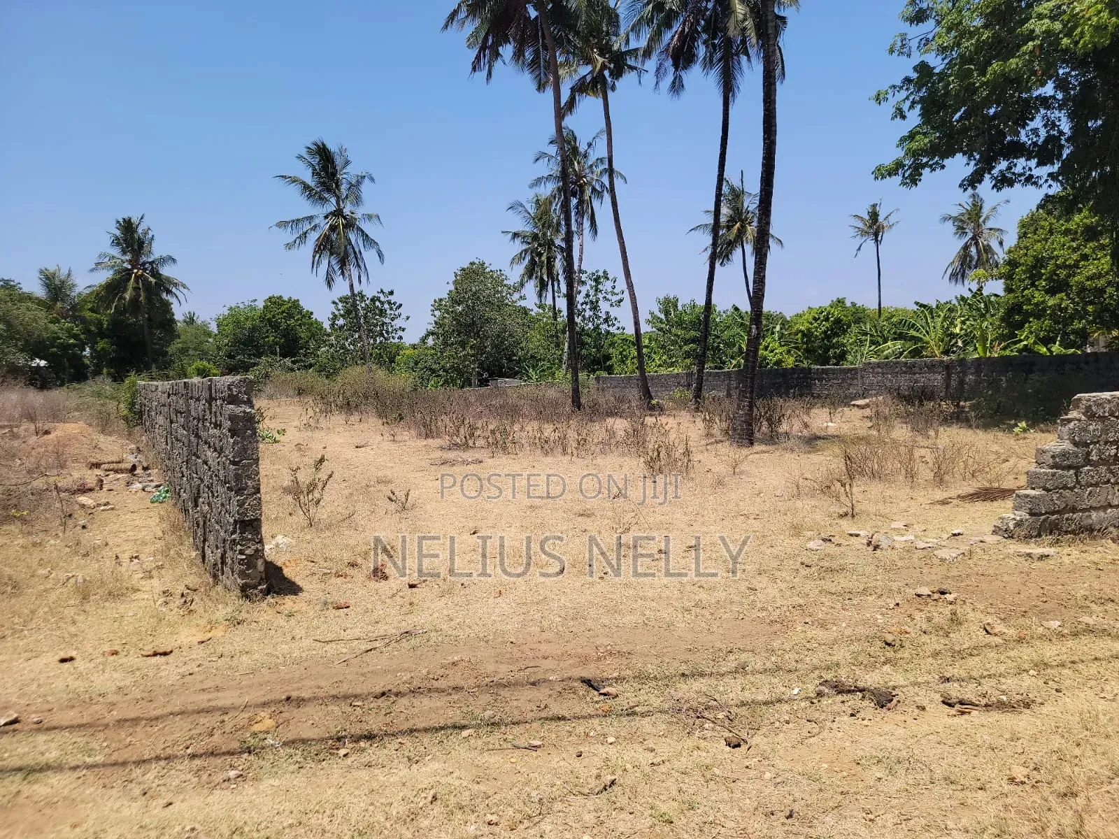 1/2 Acre for Sale Bodoi