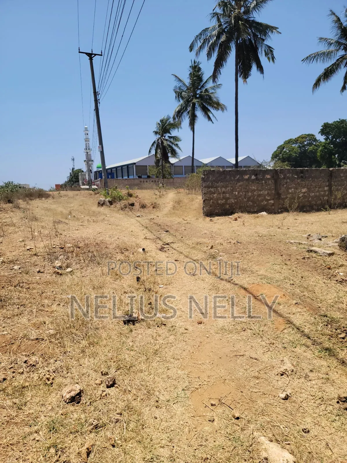 1/2 Acre for Sale Bodoi
