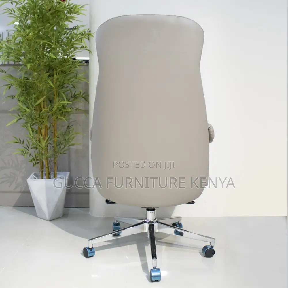 Luxury Contemporary Office Director's Chair