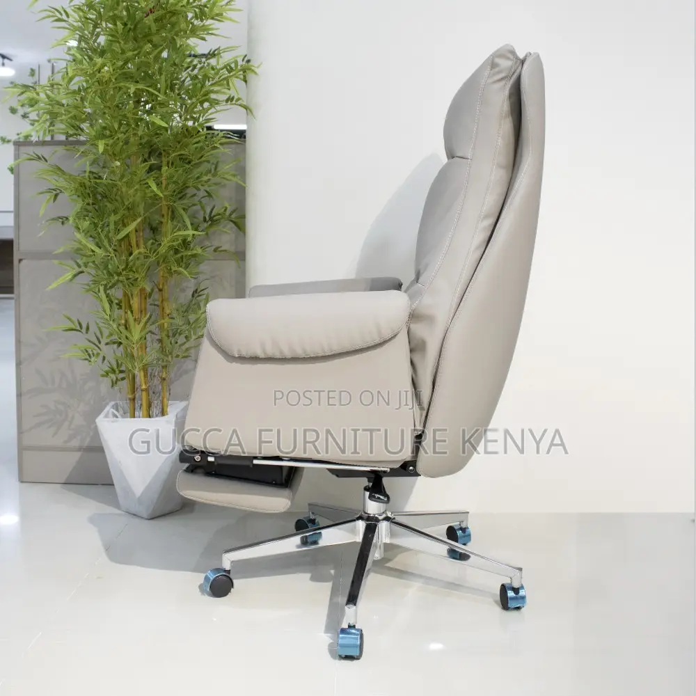 Luxury Contemporary Office Director's Chair