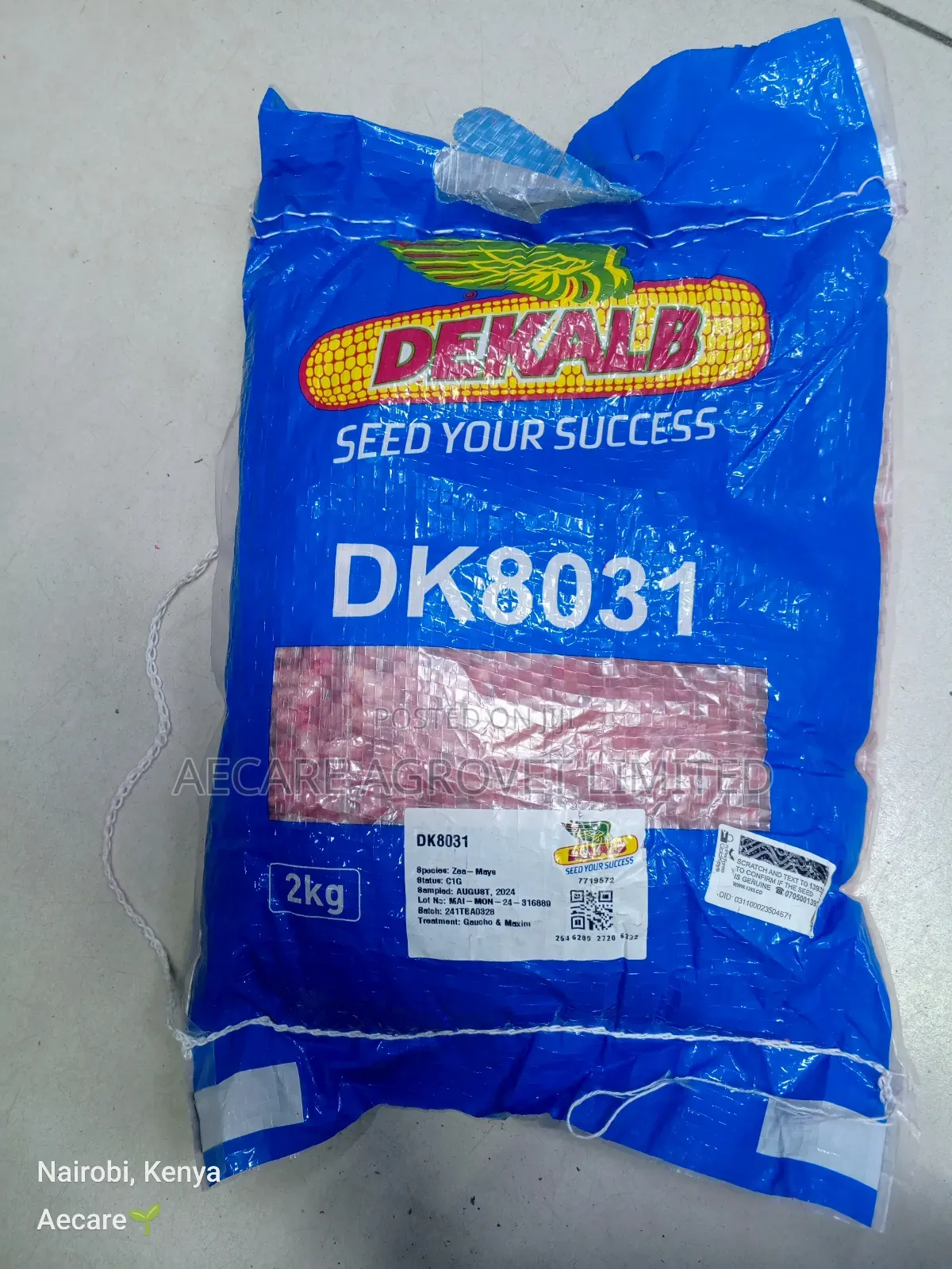 Maize Seeds Dk8031 Hybrid Seeds 2kgs