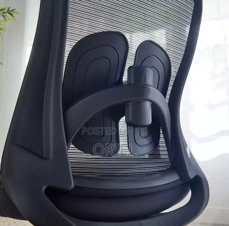 Office Chair : High-Back Ergonomic Office Chair