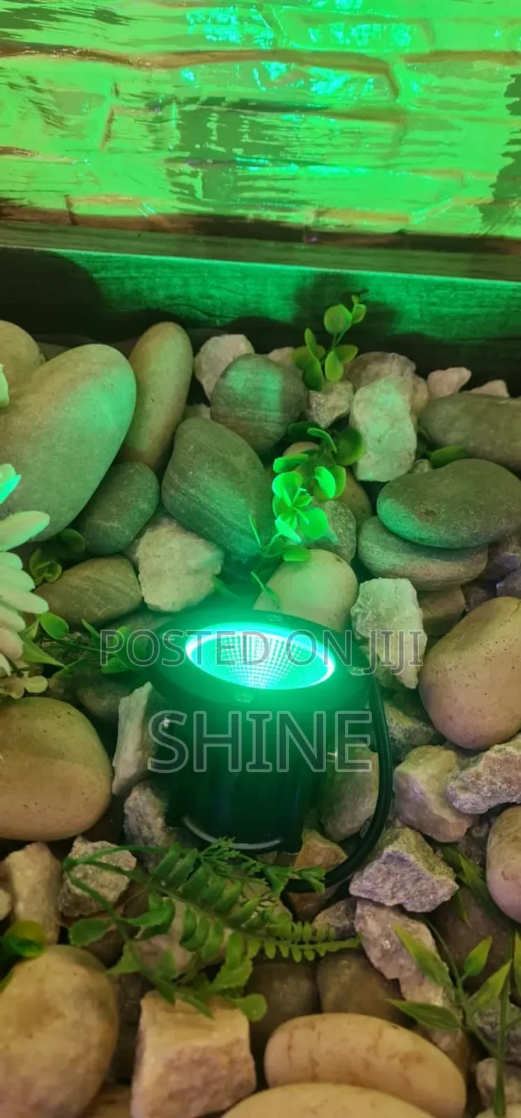 Coloured and Non Coloured Garden Light