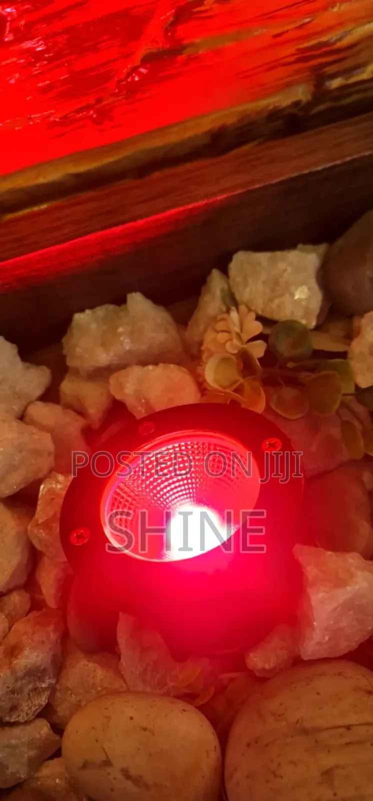 Coloured and Non Coloured Garden Light