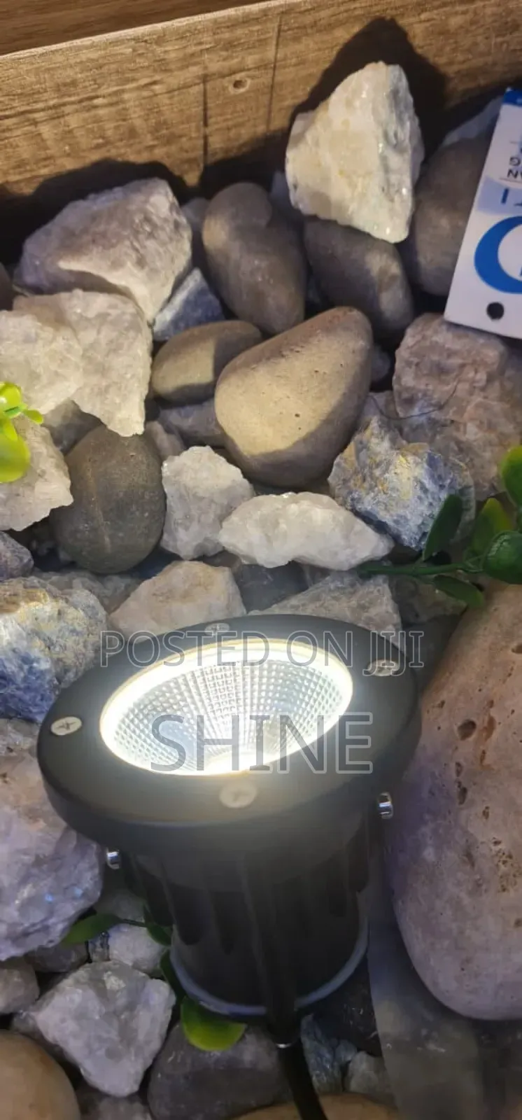 Coloured and Non Coloured Garden Light