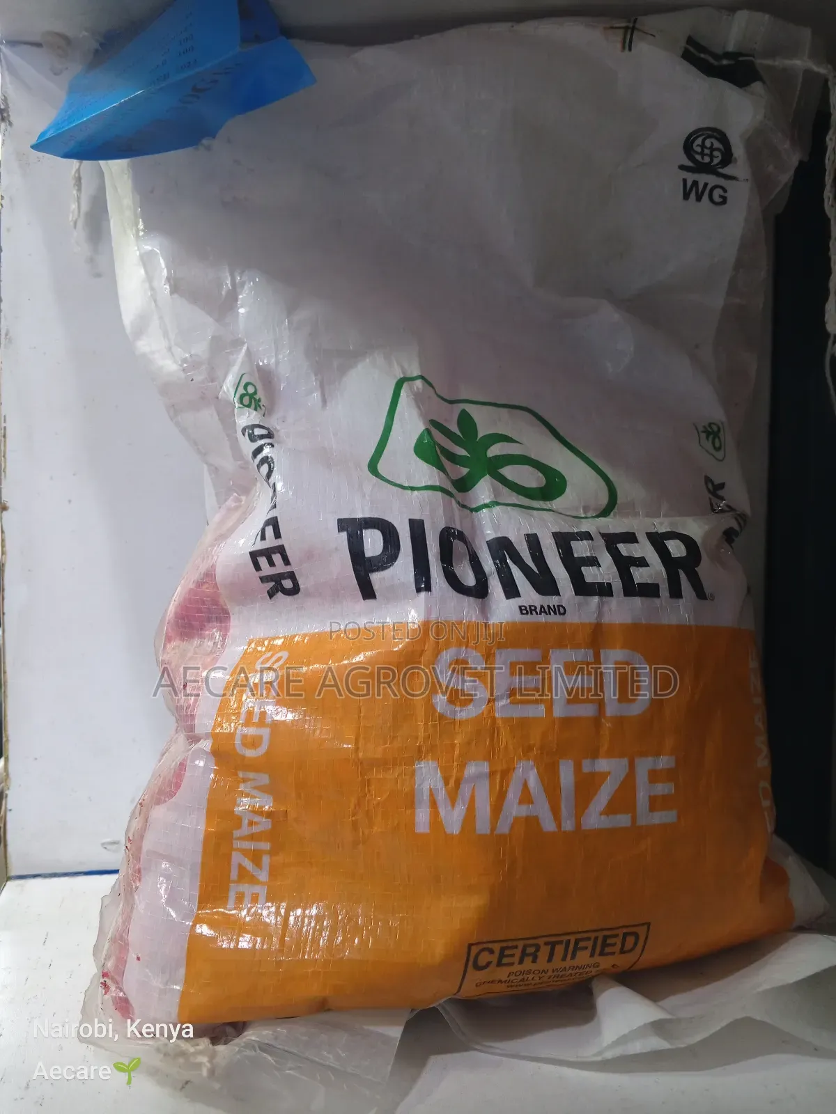 Pioneer 30g19 Maize Seeds 2kgs