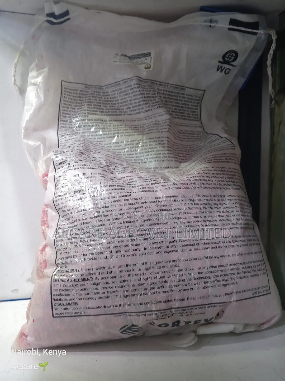 Pioneer 30g19 Maize Seeds 2kgs