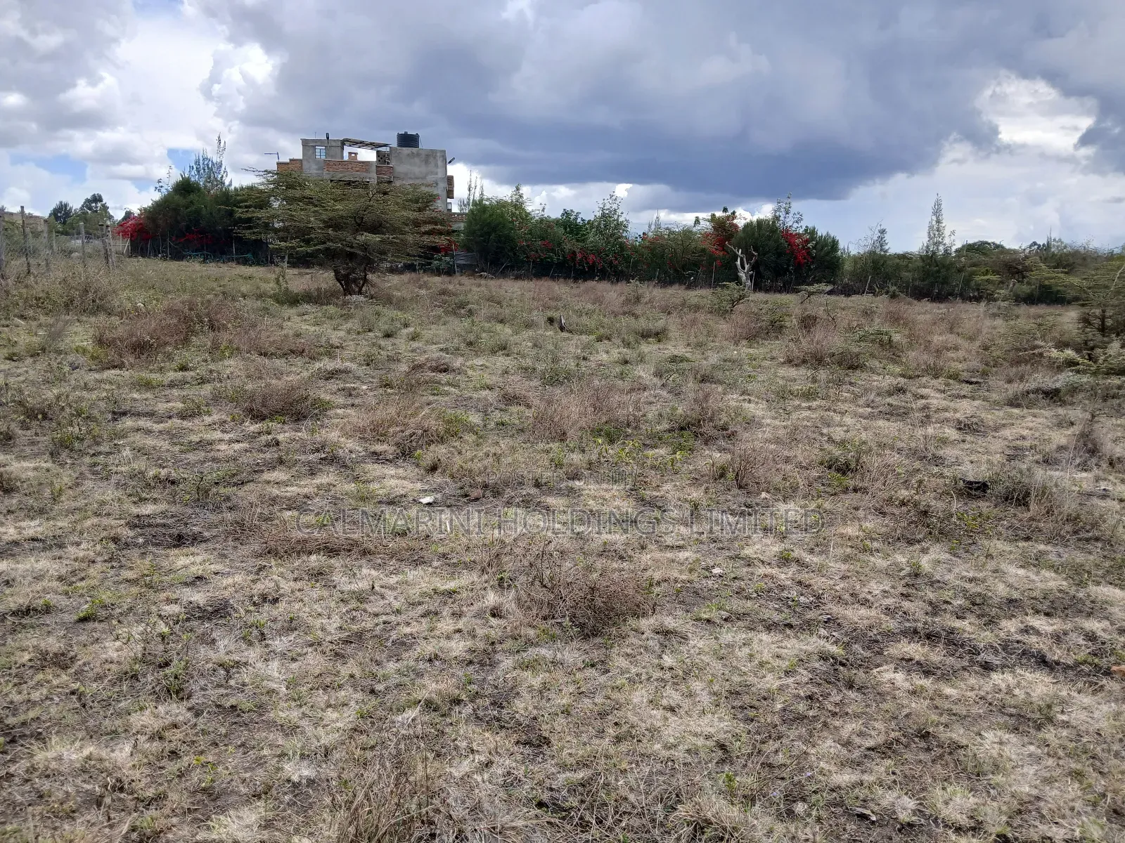 Distress Deal! Prime 1/8 Acre Plot in Kiserian