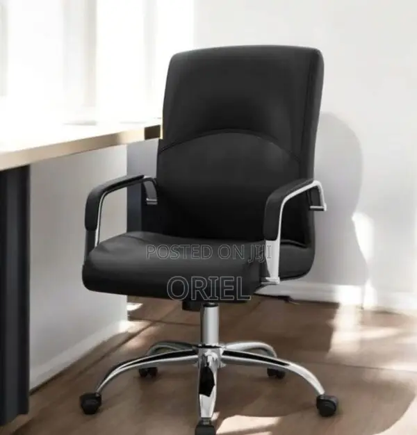 Modern Office Chair : Ergonomic Design Office Leather Chair