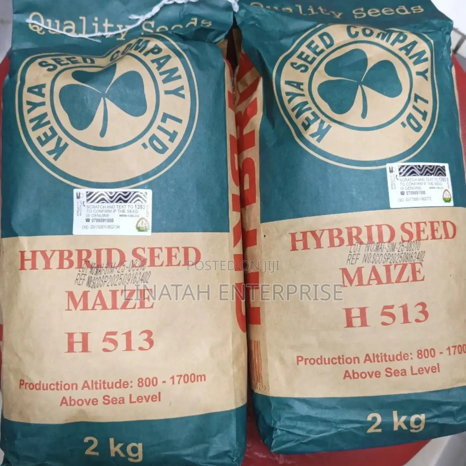 Hybrid Maize Seeds H 513 2kg