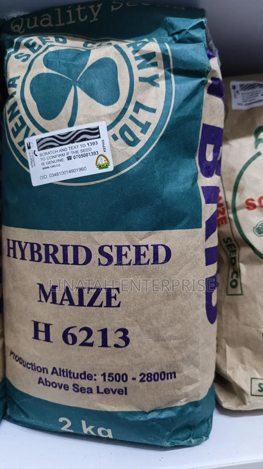 Hybrid Maize Seeds H 6213 2kg