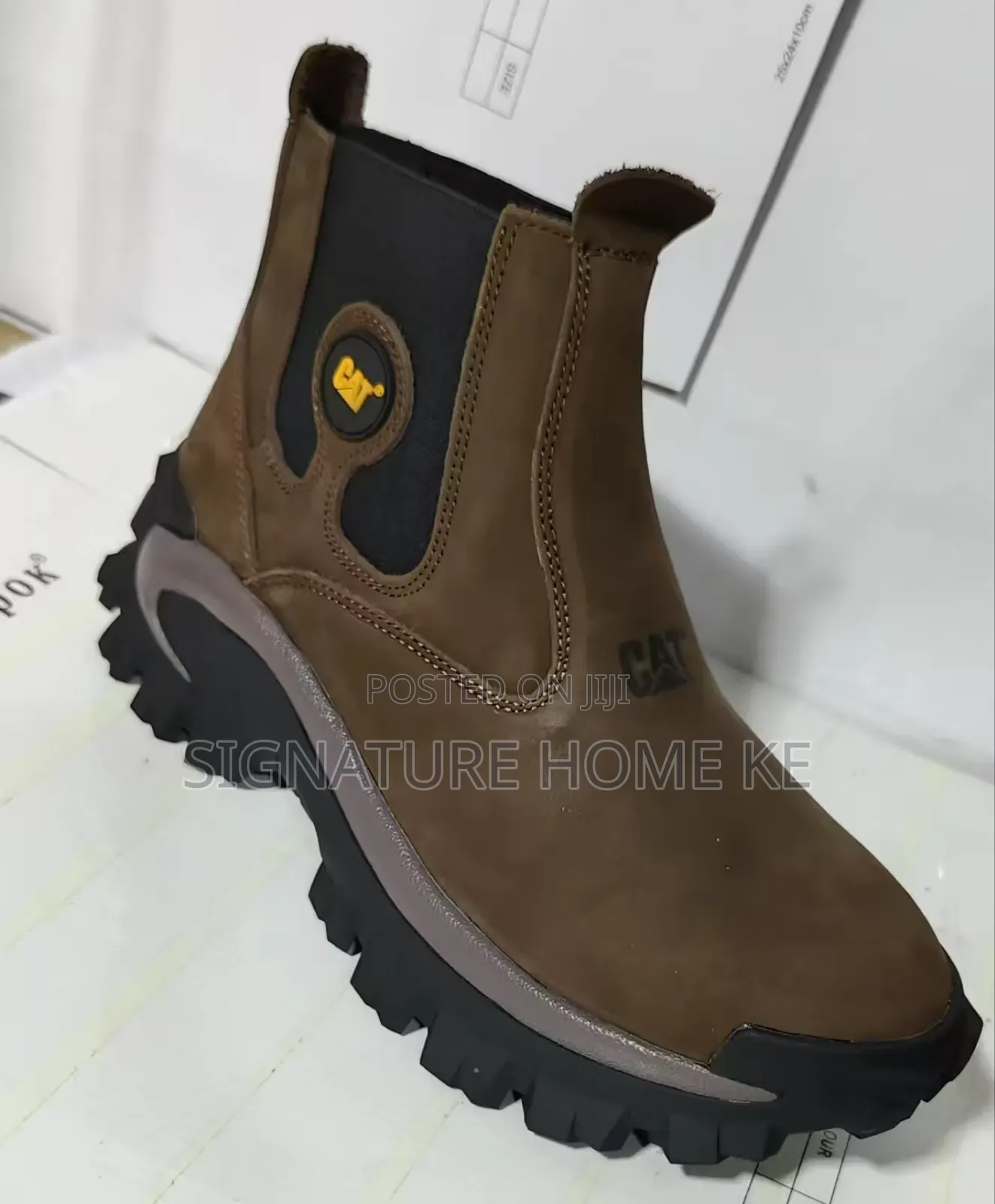 Cat High Cut Shoes