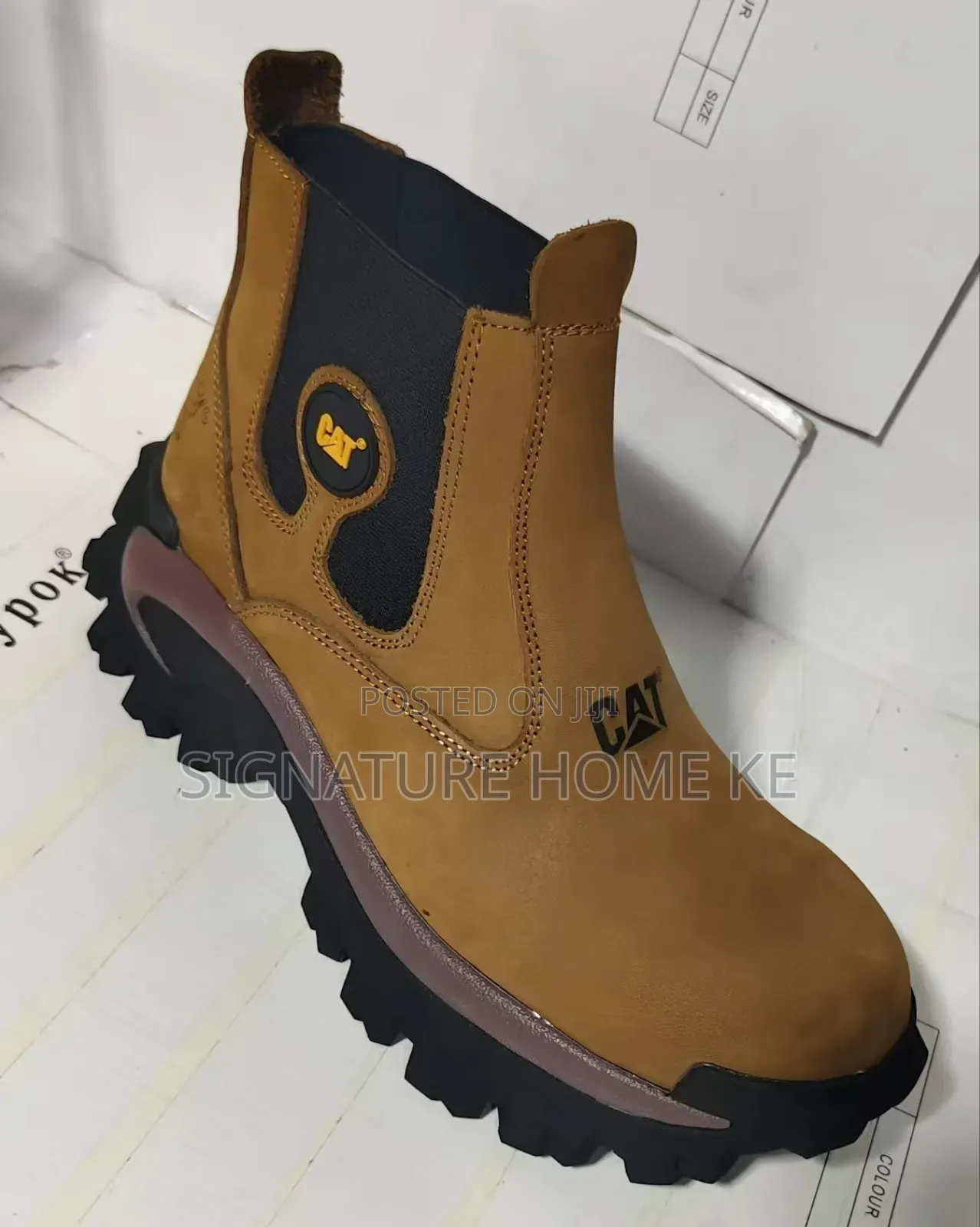 Cat High Cut Shoes