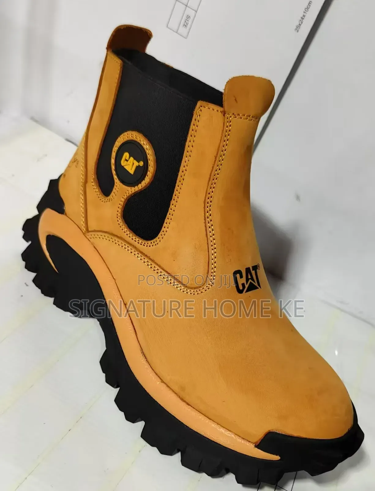 Cat High Cut Shoes