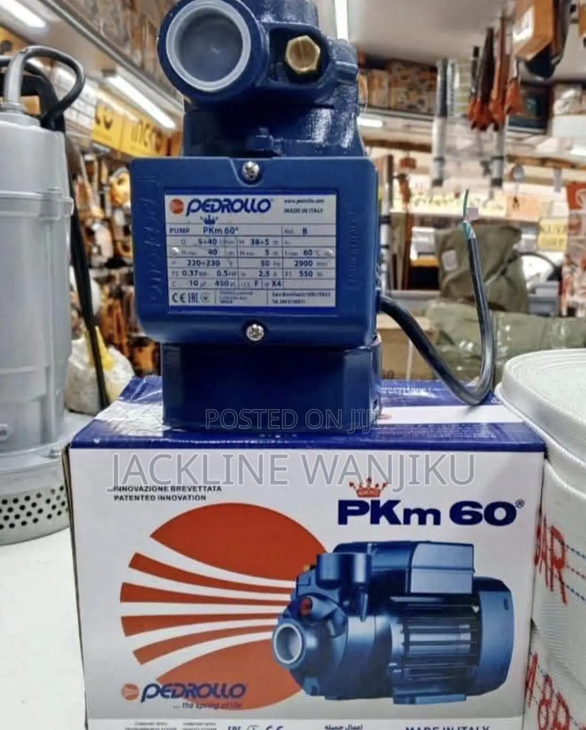 Pedrollo Water Pump 0.5hp / Electric Pedrollo Water Pump Machine