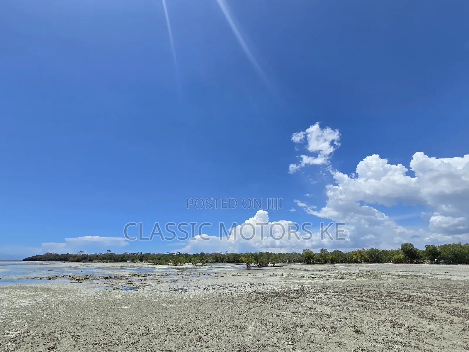 Prime Land for Sale in Msambweni