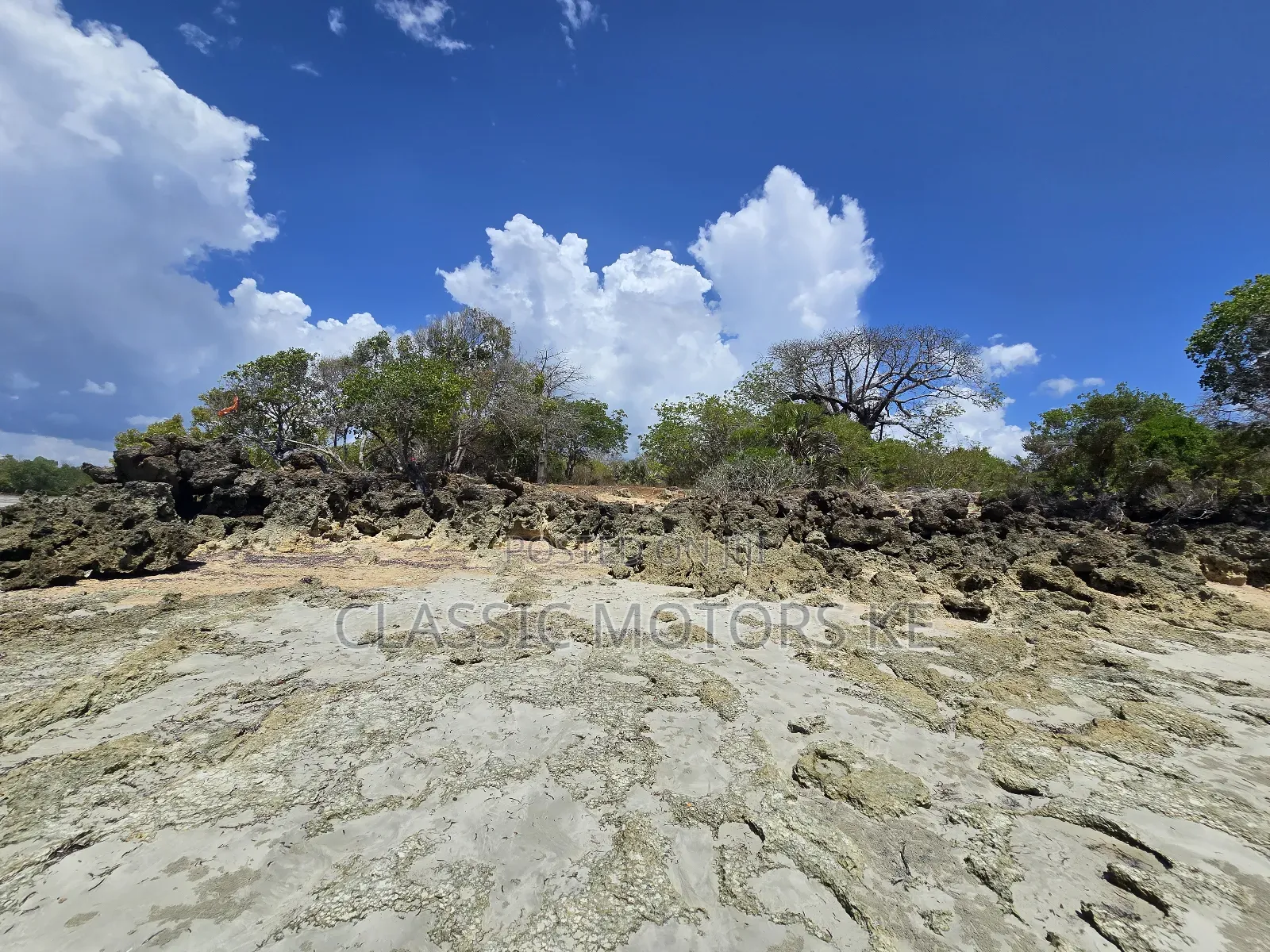 Prime Land for Sale in Msambweni