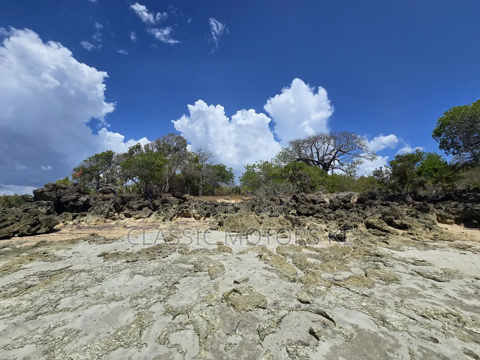 Prime Land for Sale in Msambweni