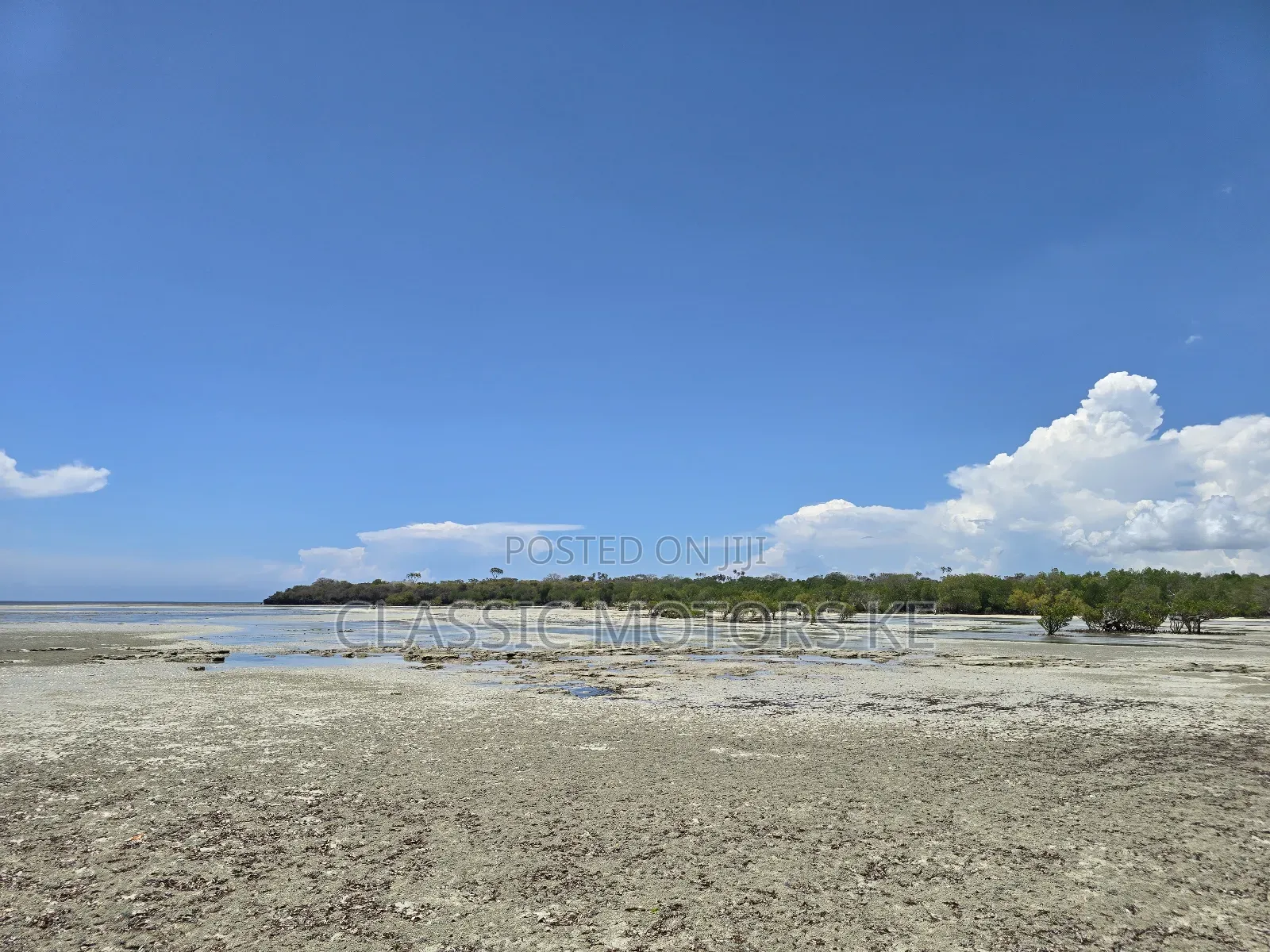 Prime Land for Sale in Msambweni