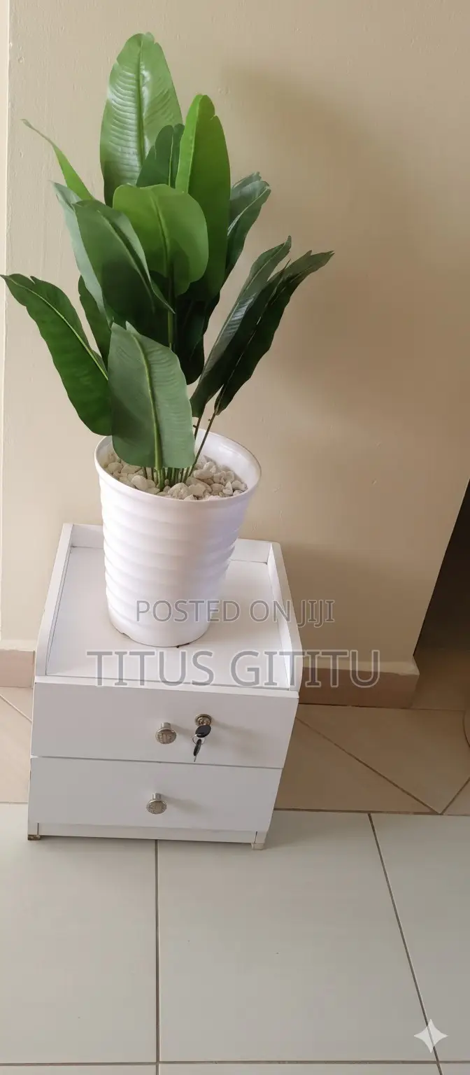 Nyali Studio Beach Road | Near Cinemax Breeze | Secure |