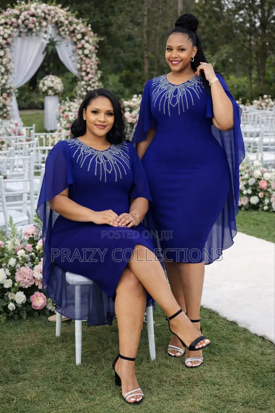 Elegant Sheer Sleeved Dress