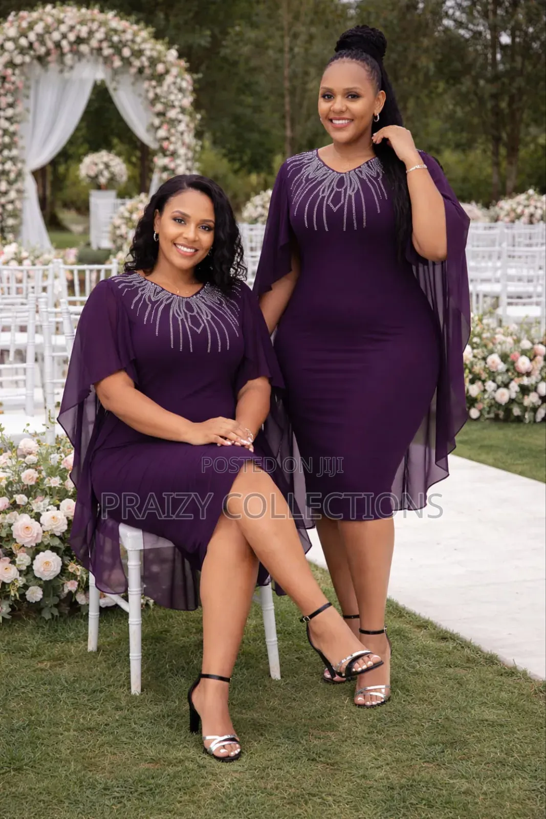 Elegant Sheer Sleeved Dress