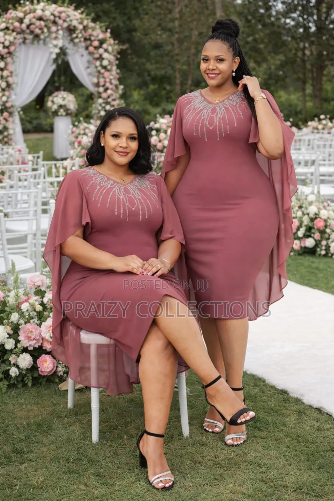 Elegant Sheer Sleeved Dress
