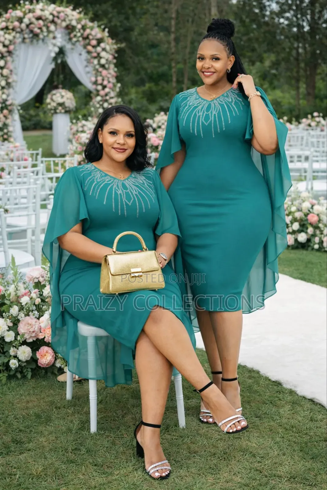 Elegant Sheer Sleeved Dress