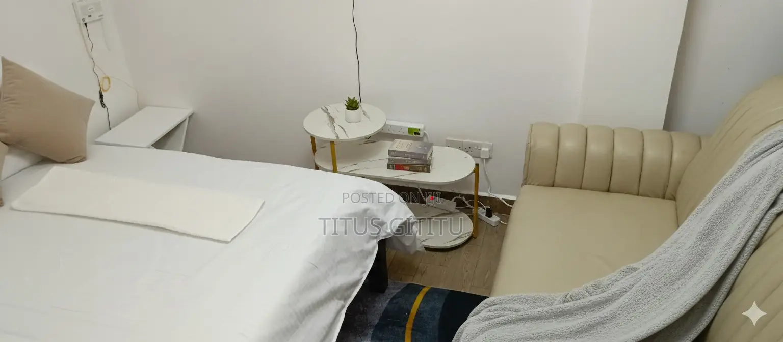 Furnished Studio Nanyuki | Near Artcaffé Moran Lounge | Secure |