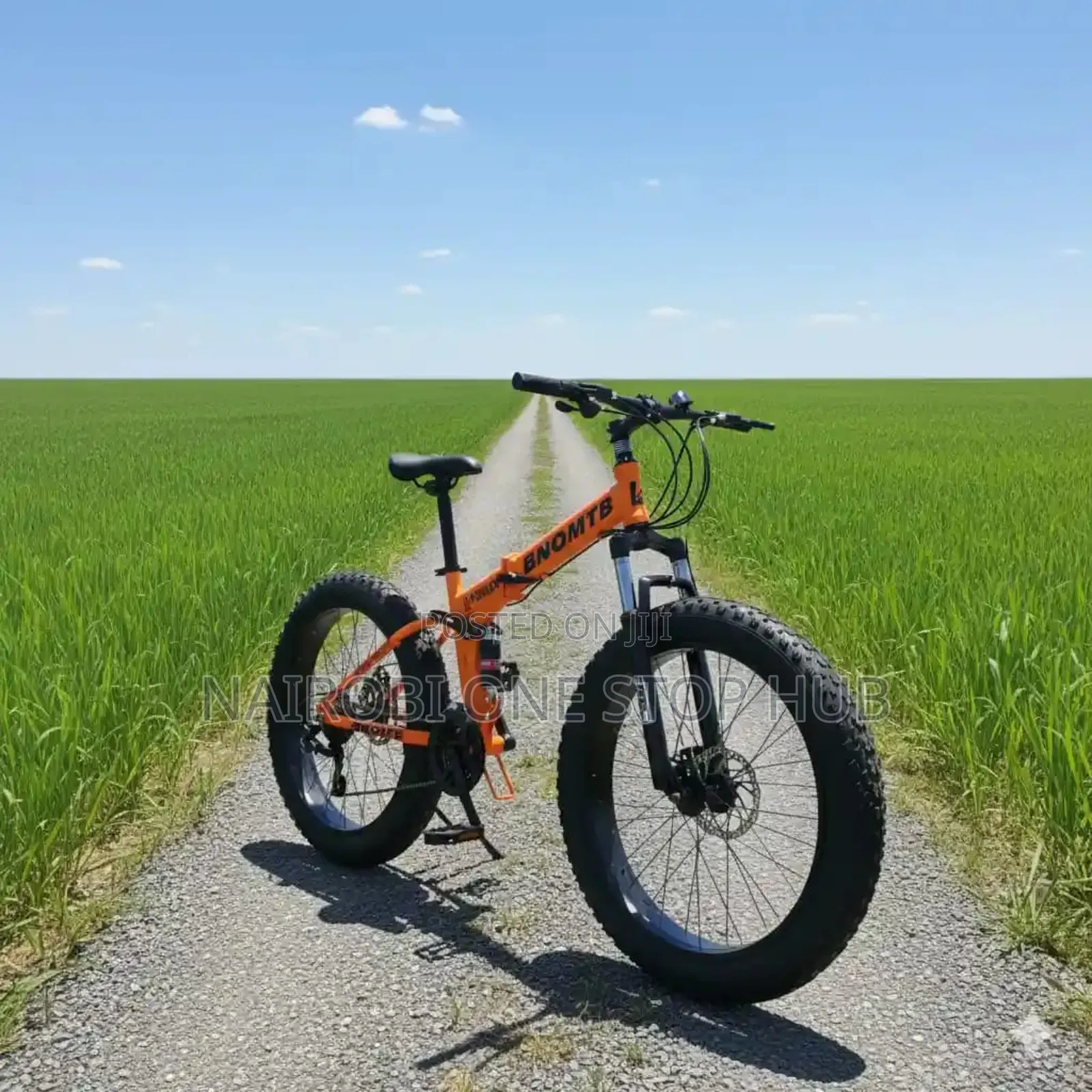 Foldable Fat Bike With Dual Suspension