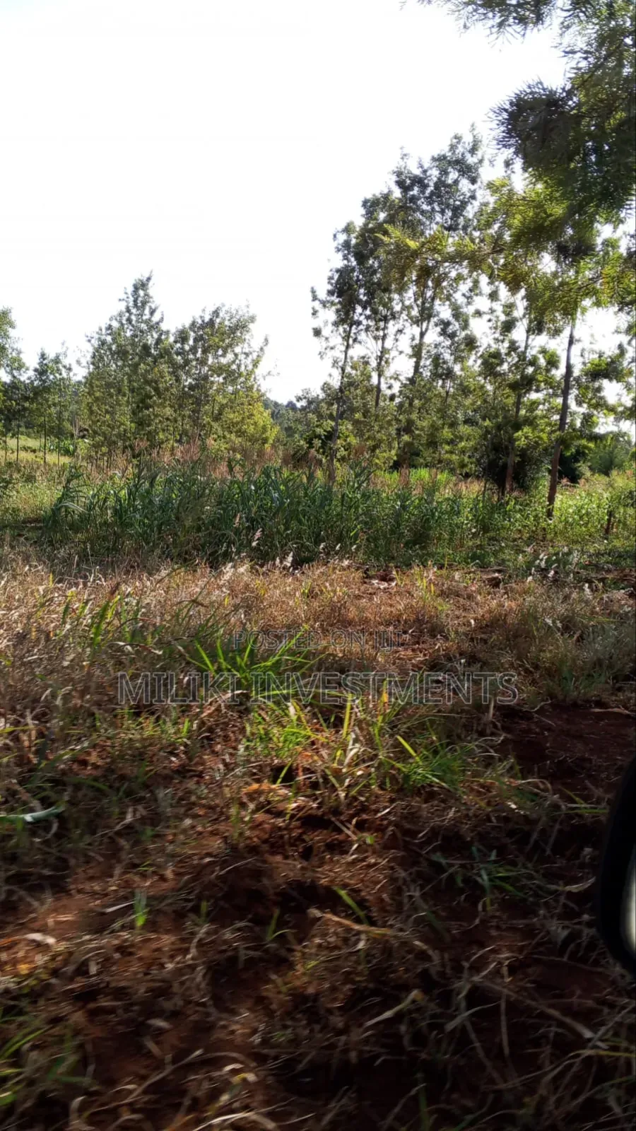 10 Acres on Sale Gatanga