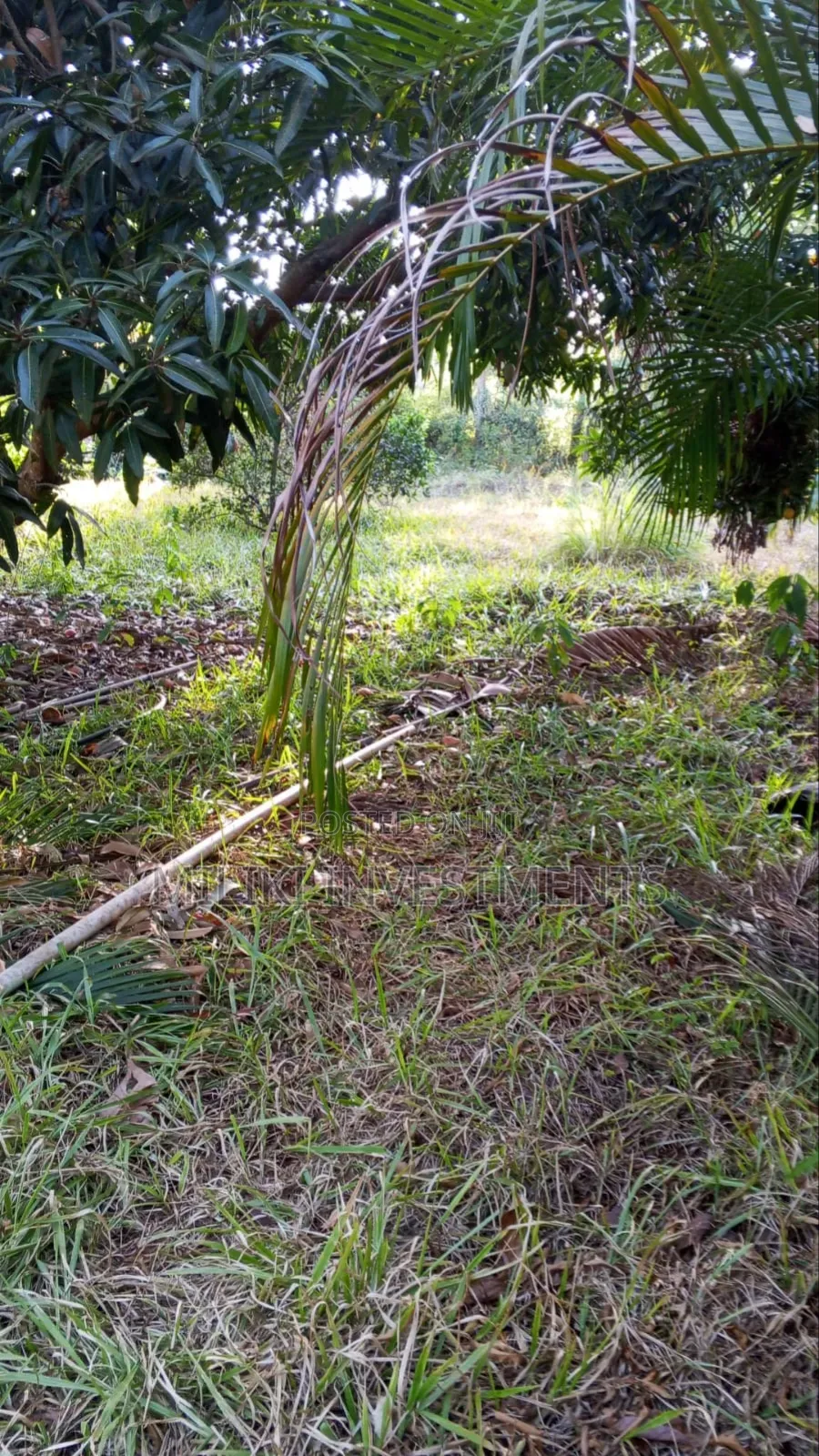 10 Acres on Sale Gatanga