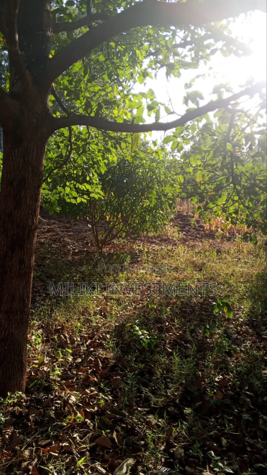 10 Acres on Sale Gatanga