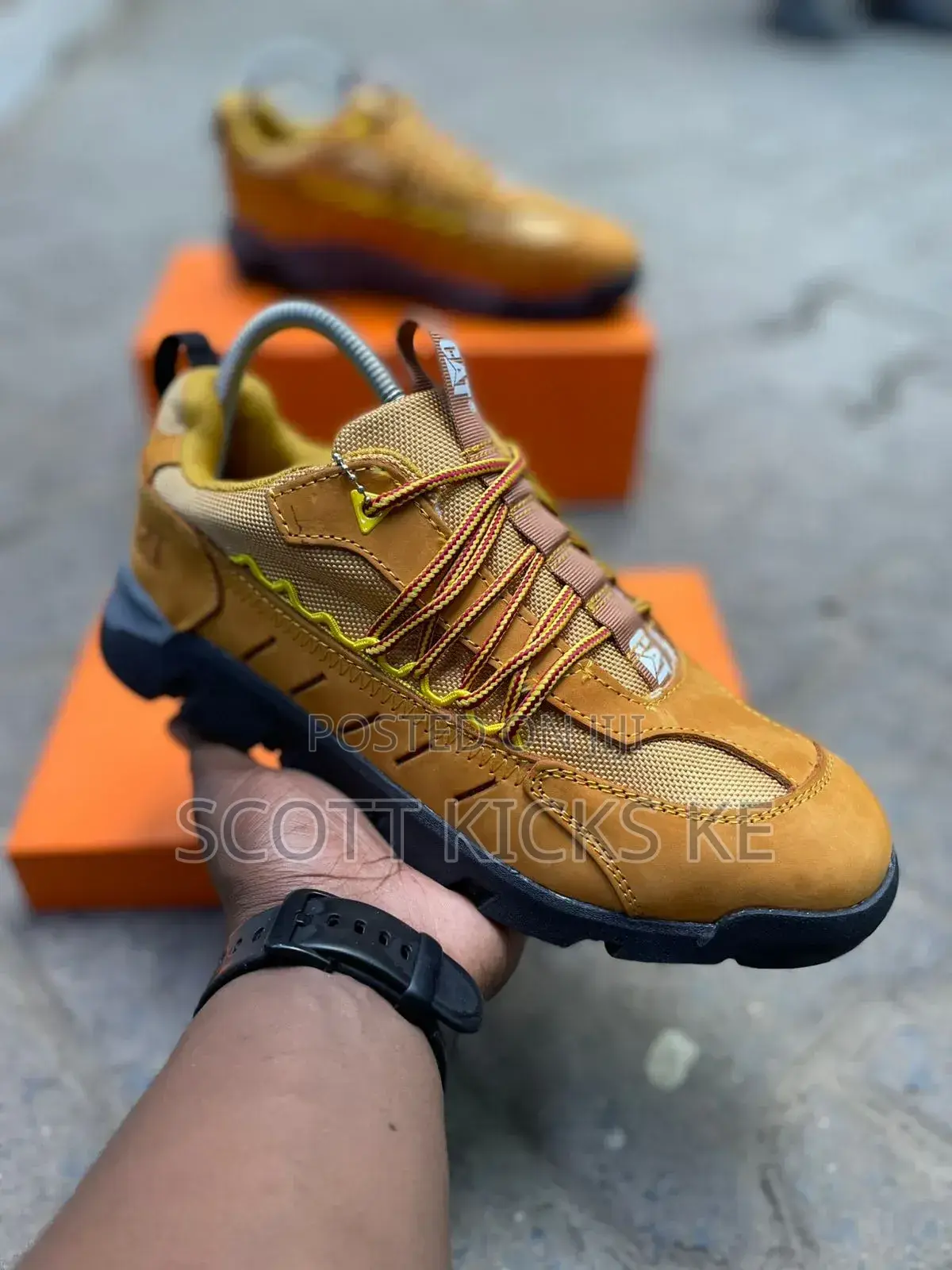 Caterpillar Shoes